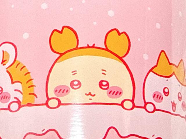 ハチワレの隣にはカニちゃんこと古本屋もいます!