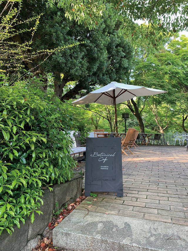 森林浴気分で過ごせるカフェ|ボタニカルカフェ