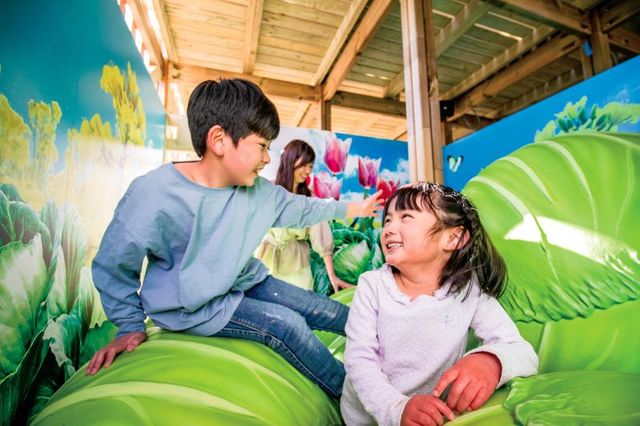 迷路を進みながら、植物に関する新たな学び'や発見を！｜鈴鹿サーキット