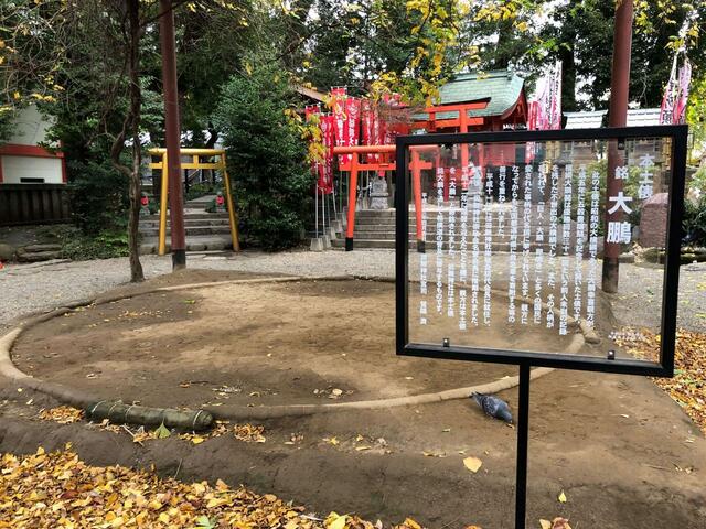 【田無神社】昭和の大横綱・大鵬関ゆかりの土俵