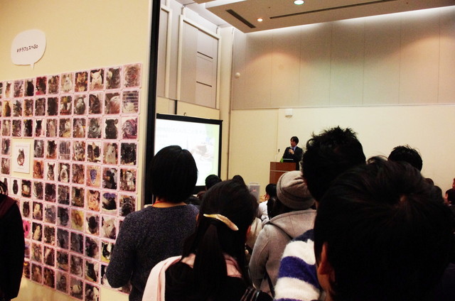 Japan Chinchilla Festival