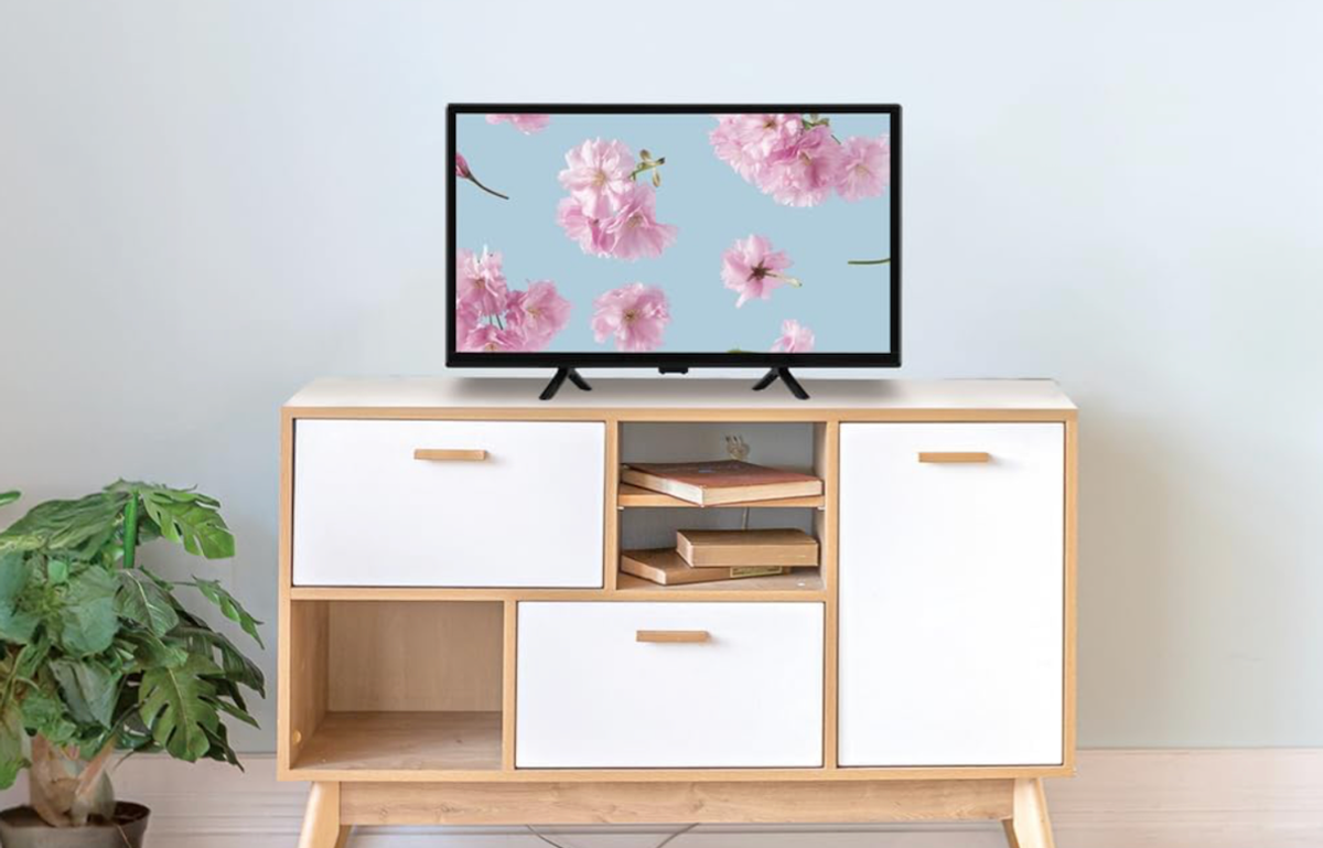 テレビの買い替え、初売りセールが正解じゃん！ 寝室や書斎用に買い