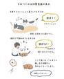 『ネコの気持ちがわかる50のポイント』より
