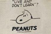 【PEANUTS×雑誌付録】スヌーピーの大人可愛い「ランチトート」バッグの口にはうれしい仕掛けも♪