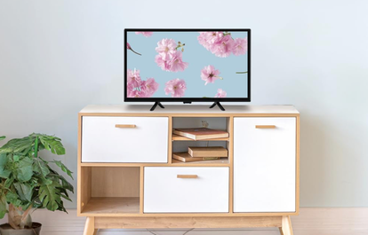 テレビの買い替え、初売りセールが正解じゃん！ 寝室や書斎用に買い