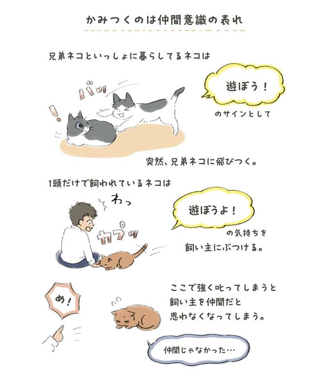 『ネコの気持ちがわかる50のポイント』より