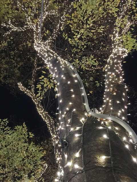 ペリエ presents 表参道イルミネーション 2014