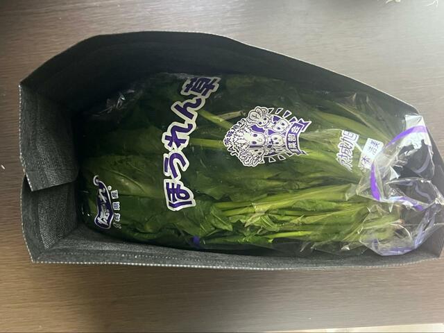 【ニトリ　抗菌野菜収納袋】葉物野菜もすっぽり収まります
