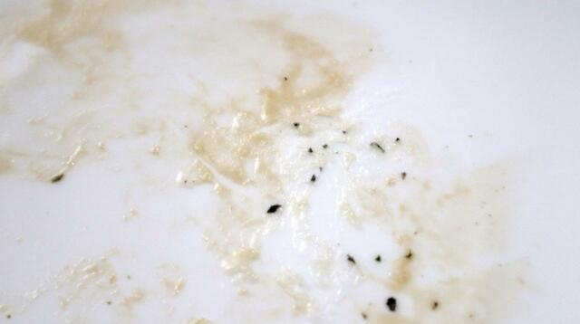 【meliordesign（メリオールデザイン） プレートM】餅は物理的なこびりつきが手ごわい