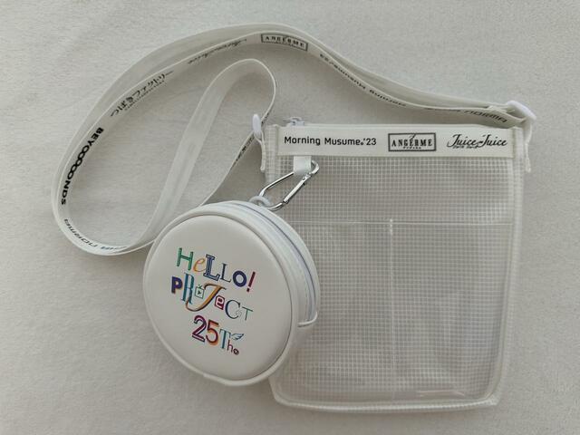 ポーチはカラビナが付いており取り外し可能【GU】クリアバッグ HELLO! PROJECT(カラー01 OFF WHITE):1,990円(税込)