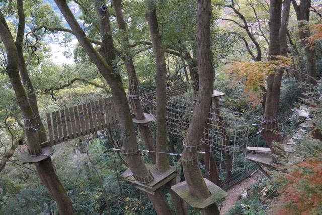 【星野リゾート　リゾナーレ熱海】森の空中基地 くすくすでのアクティビティ「森の空中散歩」