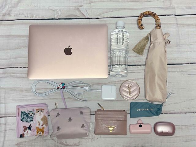 これだけのものが入りました！