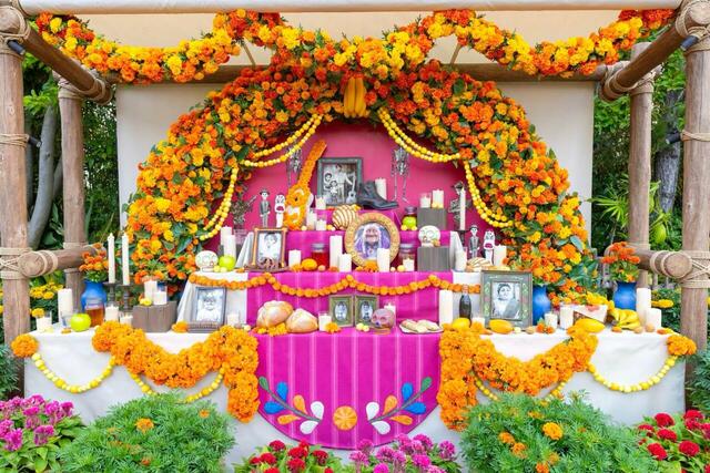 スペシャルイベント「ラソス・デ・ラ・ファミリア」2026年9月16日（水）～11月2日（月）