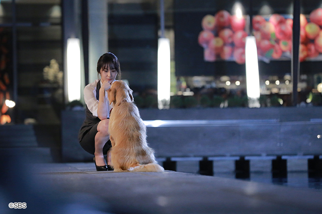 Mnet『僕には愛しすぎる彼女』©SBS