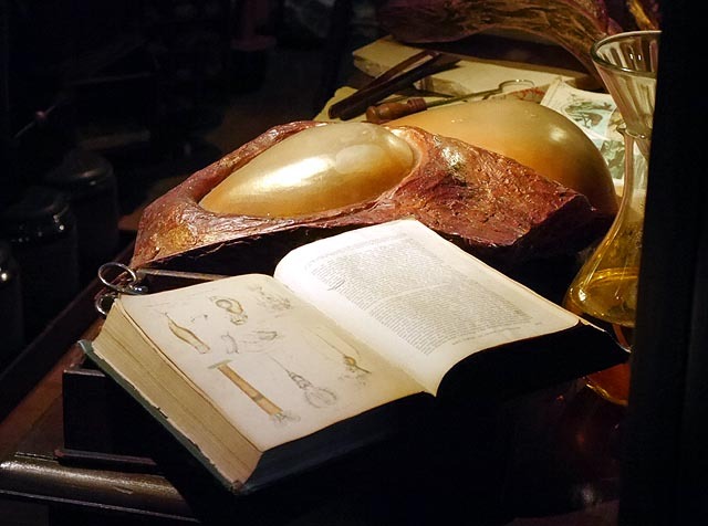 10. マグマサンクタムツアー　地底生物の卵の化石の一部 ©Disney