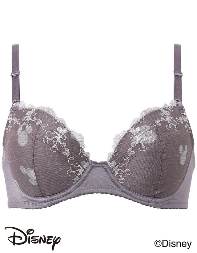 ［ナチュラルアップブラ］ディズニーデザイン 4,290円～