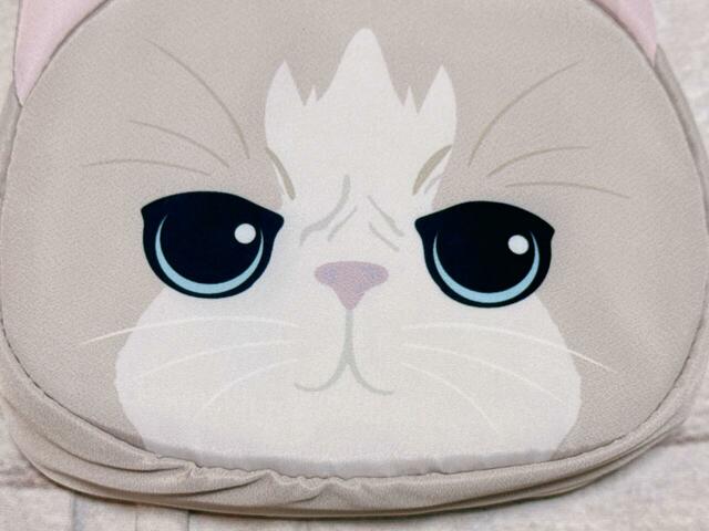 目や鼻に用いられた淡いブルーとピンクの配色も、大人かわいいアクセントに♪