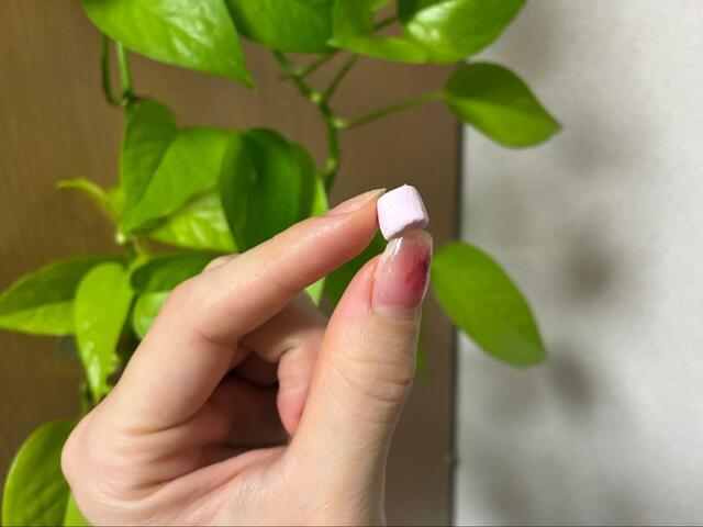 【100均ダイソーの楽しいお菓子コーナー3種】とても小さいカリカリ食感の乾燥マシュマロが可愛い