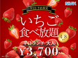 「国産いちご食べ放題」＜期間：2026年3月12日～4月8日＞【真っ赤に輝く“国産いちご”を贅沢に楽しめる♪WEB予約限定「国産いちご食べ放題」開催中！】