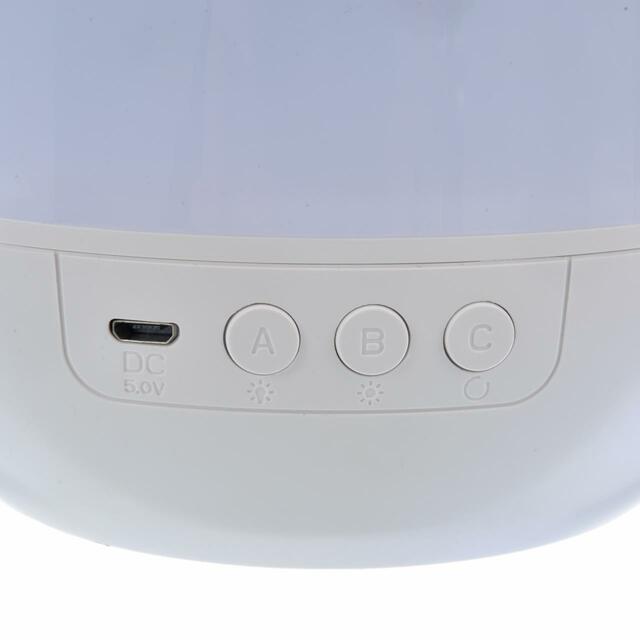 ピーター・パン ルームプロジェクション PETER PAN 70YEARS 4,400円