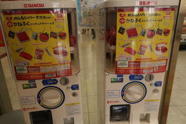 めんたいパーク限定ガチャガチャもあります