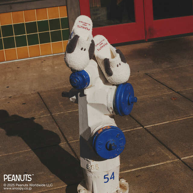 【PEANUTS】スヌーピーベビモコルームシューズ ¥6,270