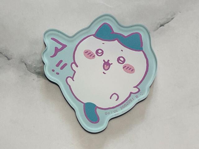 最近アニメで放送されていた「入れ替わり編」で元に戻ったシーンのハチワレです。かわいい〜！