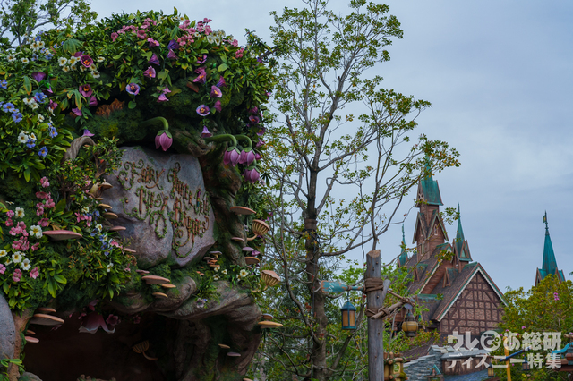 東京ディズニーシー「ファンタジースプリングス」内「ピーターパンのネバーランド」