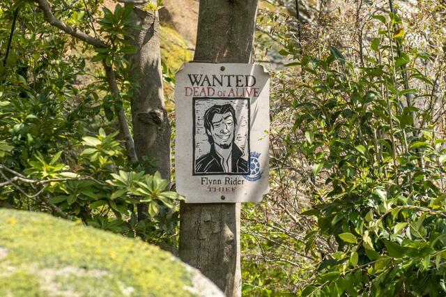 東京ディズニーシー「ファンタジースプリングス」内「ラプンツェルのランタンフェスティバル」