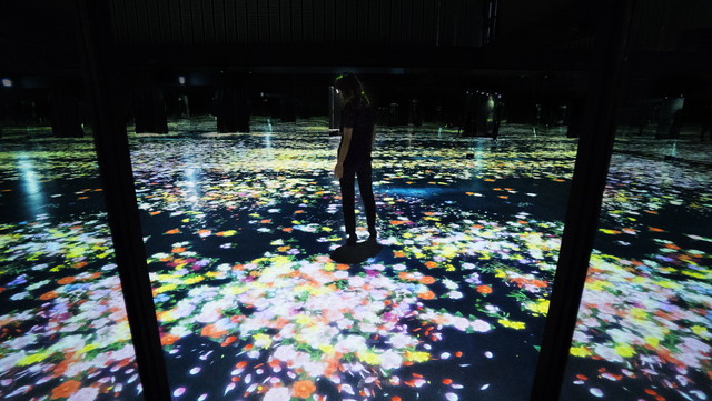 『花と人、コントロールできないけれどもともに生きる、永久に-Tokyo』4 チームラボ,2014,インタラクティブデジタルインスタレーション