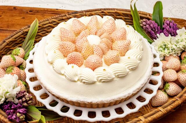「白イチゴ“初恋の香り” のショートケーキタルト」（青山限定）piece ¥1,890 / whole(25cm)¥18,900【キル フェ ボン「2024 VERY STRAWBERRY」】