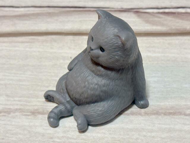 なんだか少しおじさんのようなポーズ。こんなポーズも愛おしいですね♪