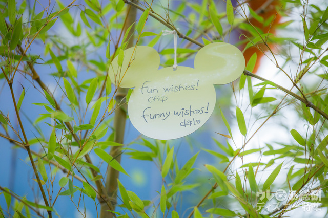 デールのウィッシングカード