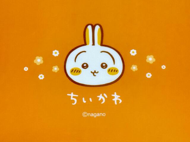 背面にもデザイン入りなのが、個人的推しポイント♪