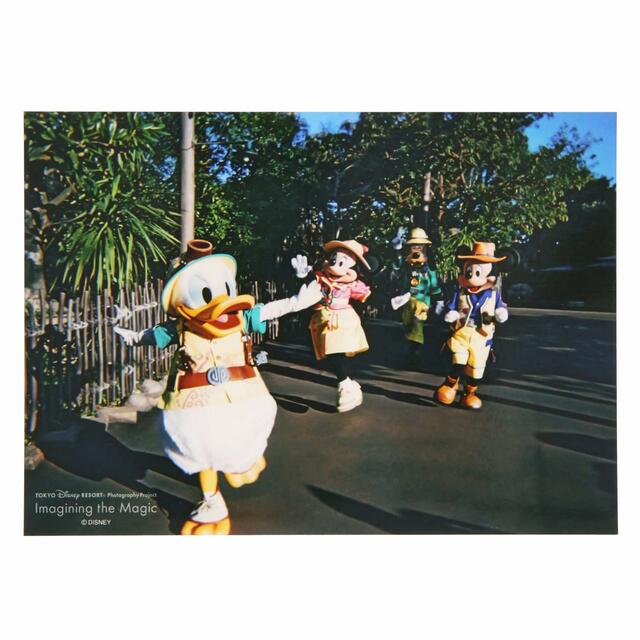 写真 500円｜東京ディズニーリゾート・フォトグラフィープロジェクト「イマジニング・ザ・マジック」第2弾グッズ｜東京ディズニーリゾート40周年“ドリームゴーラウンド”｜発売日：2023年12月7日（木）｜販売店舗：東京ディズニーランド「グランドエンポーリアム」、東京ディズニーシー「ヴァレンティーナズ･スウィート」