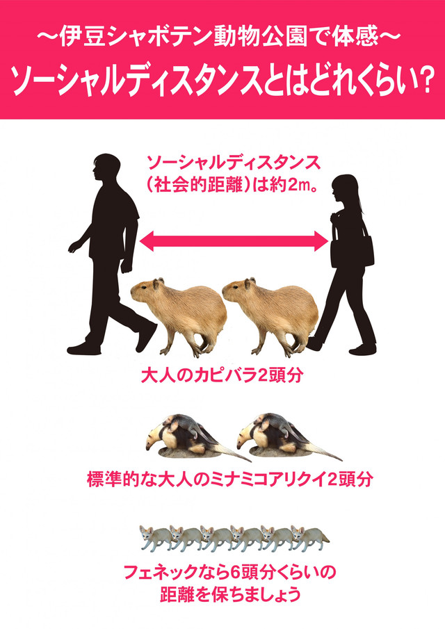 ソーシャルディスタンス