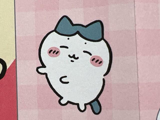 眠っているハチワレもかわいい〜!