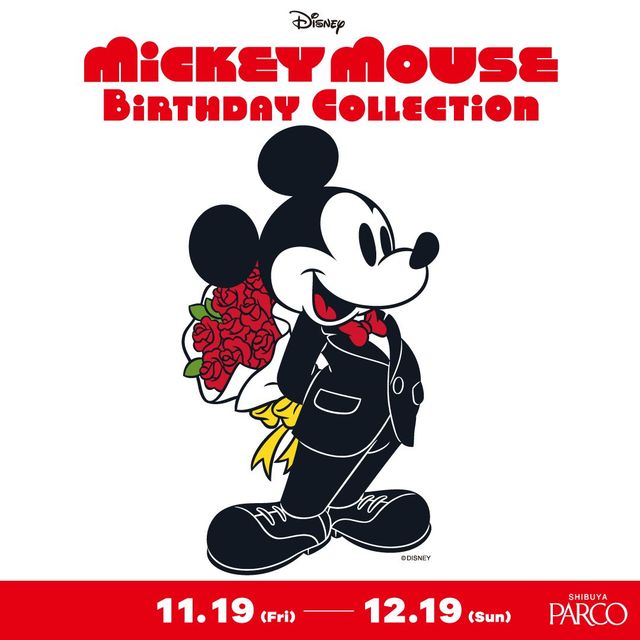 Mickey Mouse Birthday Collection