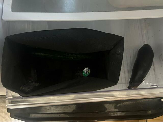 【ニトリ　抗菌野菜収納袋】収納袋に入れたナスと入れなかったナスで持ちを検証