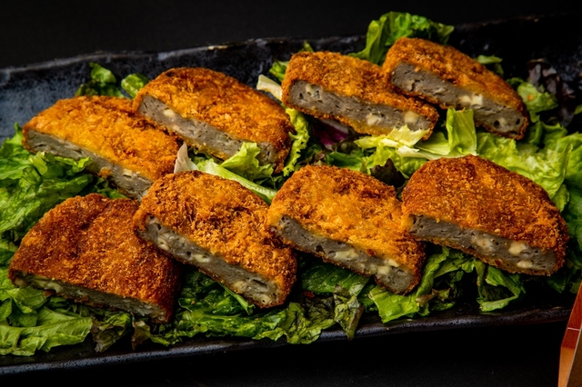 徳島代表　フィッシュカツ