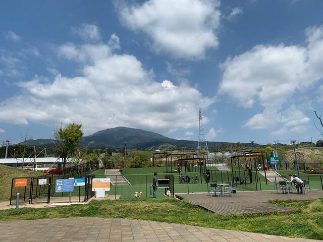 【新東名高速道路・NEOPASA駿河湾沼津(上り線・下り線) 】夜間はライトアップされるので夜も楽しめる 引用元：NEXCO中日本 Facebook