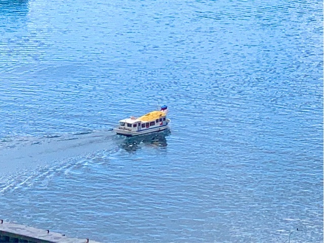 展望台からみる送迎船がかわいいー！！