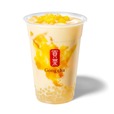 【ゴンチャ】「マンゴーミニパール ココナッツミルクティー（ICED／M）」700円