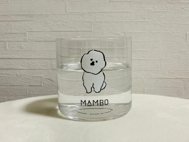 クリアなグラスなので、使い勝手がいいです