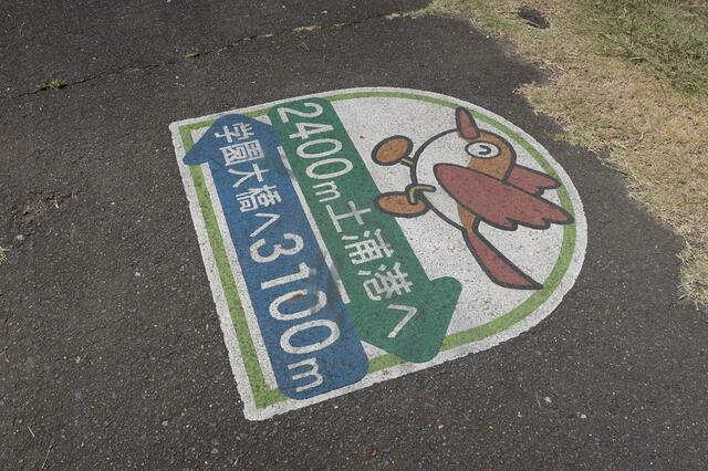 土浦市水郷橋付近