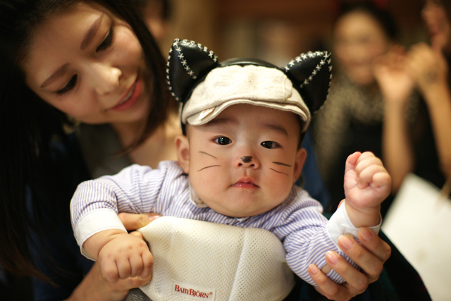 かわいい猫、イケメン猫…超凝った“猫コスプレ”