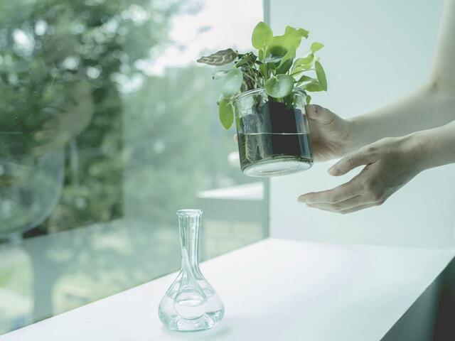 ＆Greenは水だけでOKなのでお手入れ楽々