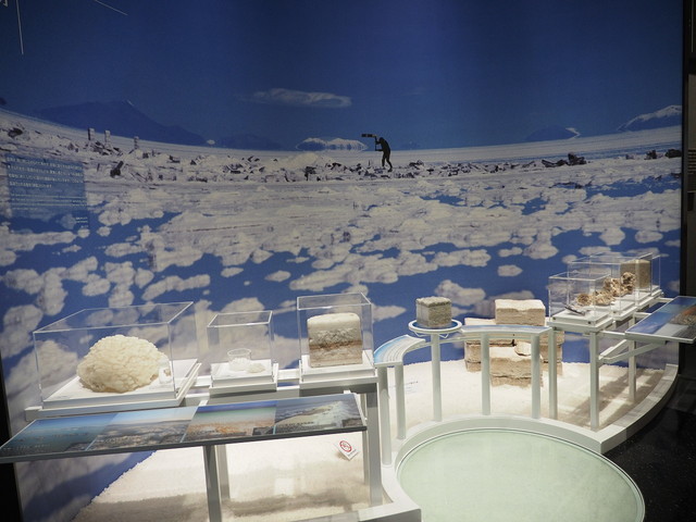 たばこと塩の博物館／「塩の世界」