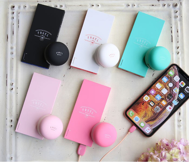 FRUEL フルーエル 2ポートUSB-AC充電器