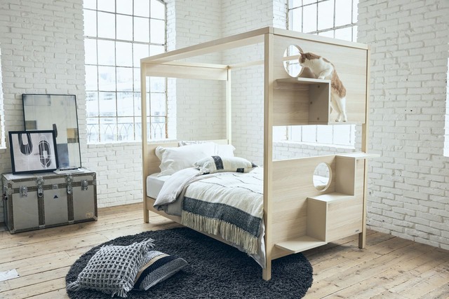 【フランスペット】「キャットタワー付きベッド」